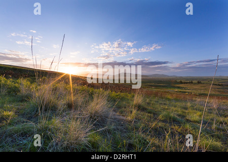 Palouse-Prärie Wiesen bei Sonnenuntergang auf der National Bison Range in der Nähe von Moiese, Montana, USA Stockfoto