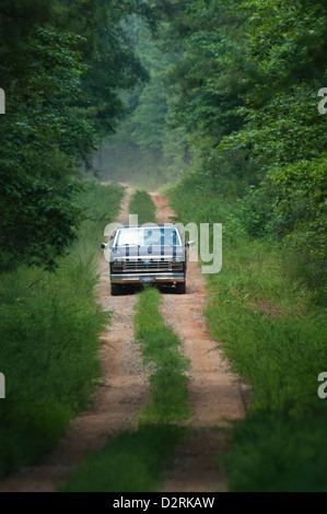 Alten Pickup-Truck fahren auf einem Feldweg in den Wald, Columbus, Georgia Stockfoto