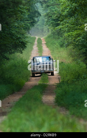 Alten Pickup-Truck fahren auf einem Feldweg in den Wald, Columbus, Georgia Stockfoto