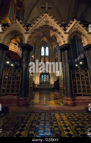 Vertikale Innenansicht der Christ Church Cathedral in Dublin. Stockfoto