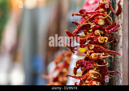 Getrocknet, Red Hot Chili Peppers hängen von der Wand der alten Gebäude in Antalya, Türkei. Sehr kleine Schärfentiefe, Textfreiraum Stockfoto