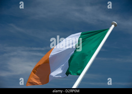 IRISCHE FLAGGE AM FAHNENMAST Stockfoto