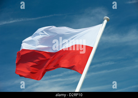 DIE POLNISCHE NATIONALFLAGGE FLIEGT AM FAHNENMAST Stockfoto