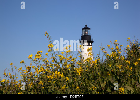 ODER die Küste von Oregon, Newport, Yaquina Head Lighthouse, abgeschlossen im Jahre 1873, 93 Fuß hohen Turm an der Küste Oregons höchste Stockfoto