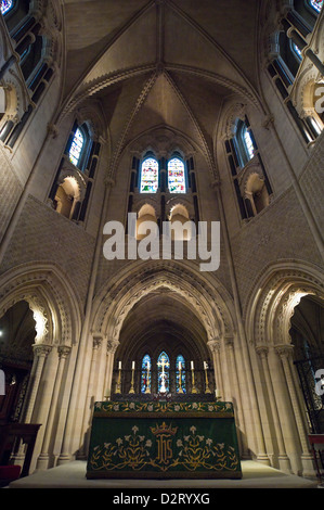 Vertikale Innenansicht der Christ Church Cathedral in Dublin. Stockfoto