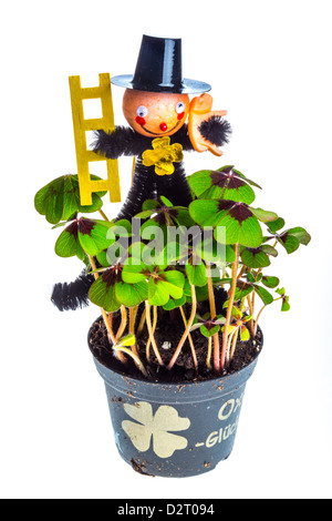 Shamrock Busch, Pflanze in einen Topf geben, mit einer Schornstein-Kehrmaschine-Figur. Glücksbringer-Symbol an Neujahr. Stockfoto