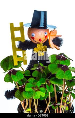 Shamrock Busch, Pflanze in einen Topf geben, mit einer Schornstein-Kehrmaschine-Figur. Glücksbringer-Symbol an Neujahr. Stockfoto