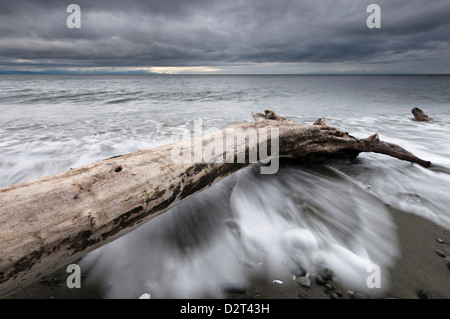 Wellen angespült am Strand im Fort Ebey State Park, Whidbey Island, Washington, USA Stockfoto