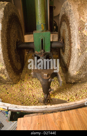 Produktion von Olivenöl in Draguignan, Provence, Frankreich mit einer Mühle und Presse-Methode Stockfoto