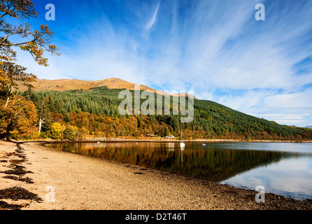 Am frühen Morgen Licht auf das herbstliche Farbenspiel des Ardgartan Wald spiegelt sich in den ruhigen Gewässern des Loch Long Stockfoto