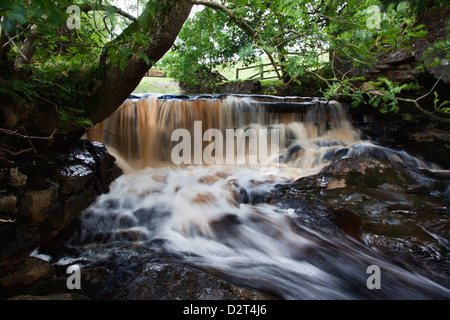 Wasserfall in Whitfield Gill in der Nähe von Askrigg, Wensleydale, North Yorkshire, Yorkshire, England, Vereinigtes Königreich, Europa Stockfoto