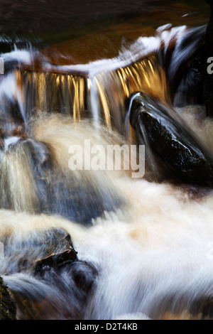 Wasserfall in Whitfield Gill in der Nähe von Askrigg, Wensleydale, North Yorkshire, Yorkshire, England, Vereinigtes Königreich, Europa Stockfoto