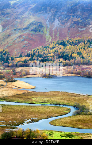 Derwentwater und die Hänge des Catbells aus Überraschung im Ashness Wald, Nationalpark Lake District, Cumbria, England, UK Stockfoto