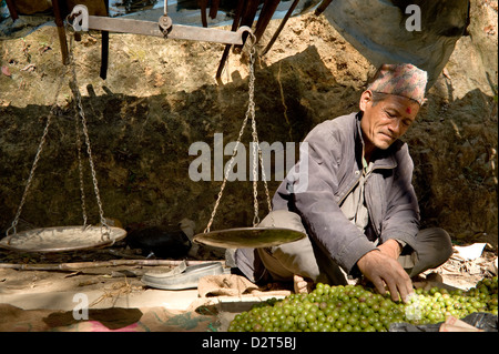 Marktstand, Dakshinkali Schrein, Kathmandu-Tal, Nepal, Asien Stockfoto