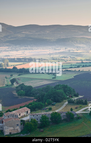 Lavendelfelder in der Nähe von Sault, Vaucluse, Provence, Frankreich, Europa Stockfoto