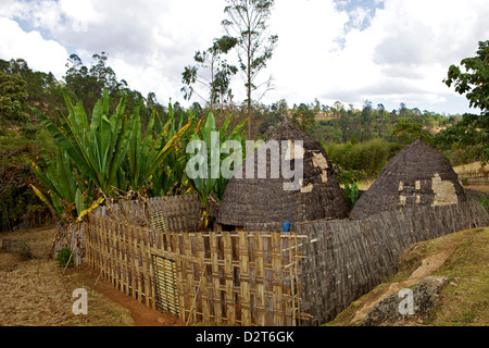 Urige Hütten, Omo Region, Chencha, Dorze, Äthiopien, Afrika Stockfoto