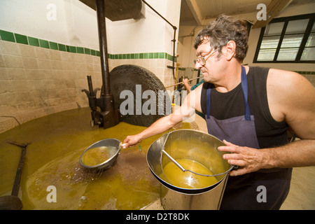 Produktion von Olivenöl in Draguignan, Provence, Frankreich mit einer Mühle und Presse-Methode Stockfoto