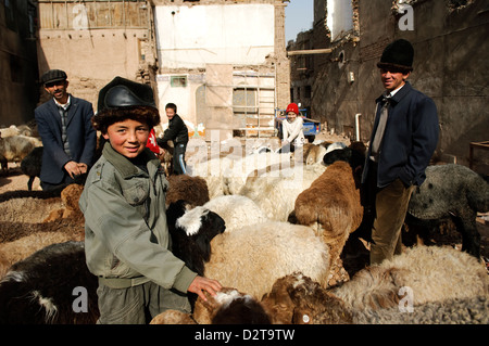 die Schafe Viehmarkt in Kashgar, china Stockfoto