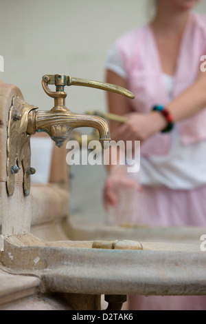 QUELLWASSERHÄHNE ART DÉCO-GROTTO SOURCE DES CELESTINES VICHY AUVERGNE FRANKREICH Stockfoto