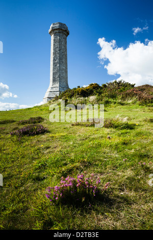 Das Hardy-Denkmal auf Black Down mit Ginster und Blüte Heather auf seiner Wiese Pisten in der Nähe von Portesham, West Dorset, England Stockfoto