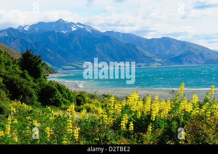 Lake Te Anau, Southland, Südinsel, Neuseeland, Pazifik Stockfoto