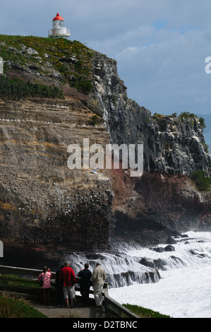 Blick auf das Royal Albatross Centre am Taiaroa Head, Otago, Südinsel, Neuseeland, Pazifik Stockfoto