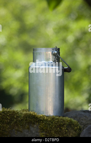 MILCHKANNE AUF MOOS BEDECKT STEINMAUER CANTAL AUVERGNE FRANKREICH Stockfoto