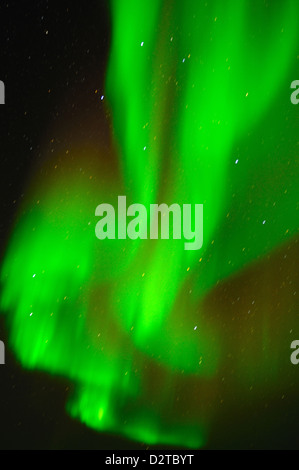 Nordlichter (Aurora Borealis), Churchill, Hudson Bay, Manitoba, Kanada, Nordamerika Stockfoto