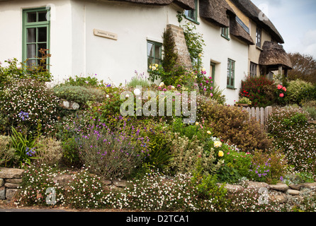 Eine fundamental Englisch Reetdachhaus mit einem bunten Garten in dem kleinen Weiler an der Küste in der Nähe von Bridport Eype Absenken in West Dorset, England Stockfoto
