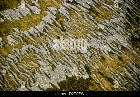 Rock läuft oder Stein läuft East Falkland Island aus der Luft Stockfoto