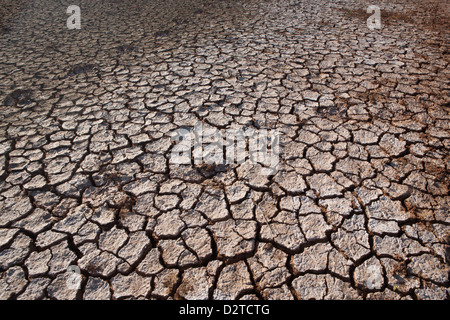 Rissige Erde und Salinen in Sarigua Nationalpark (Wüste), Herrera Provinz, Republik Panama.