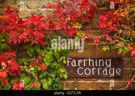 A geschnitzten hölzernen Namensschild für 'Farthing Cottage' gegen eine Steinmauer, umrahmt von wildem Wein, Northamptonshire, England Stockfoto