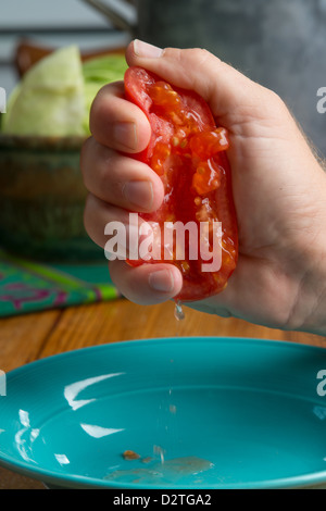 Tomaten in den Fingern zerquetscht Stockfoto