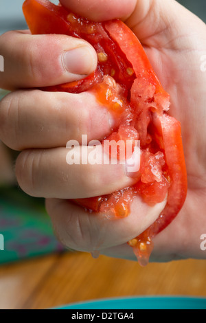 Tomaten in den Fingern zerquetscht Stockfoto