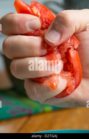 Tomaten in den Fingern zerquetscht Stockfoto