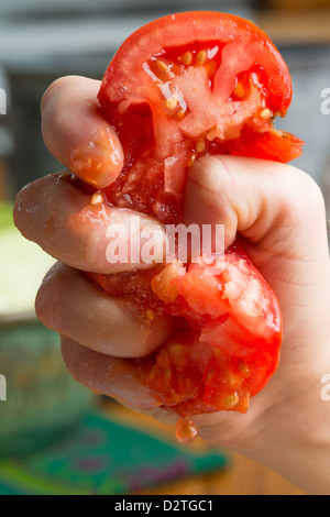 Tomaten in den Fingern zerquetscht Stockfoto