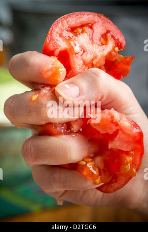 Tomaten in den Fingern zerquetscht Stockfoto