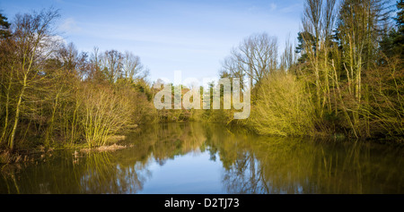 Erle-Pool am Ufton Felder Naturschutzgebiet im Winter, Warwickshire, England, UK Stockfoto