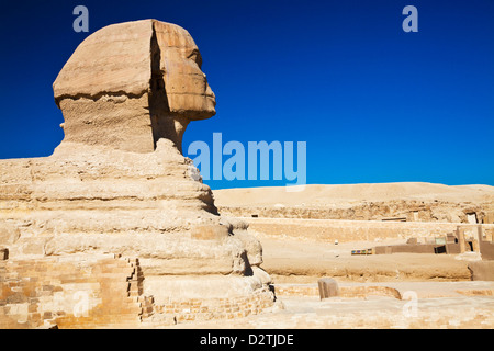 Die Sphinx in der Nekropole auf dem Plateau von Gizeh nahe Kairo, Ägypten Stockfoto