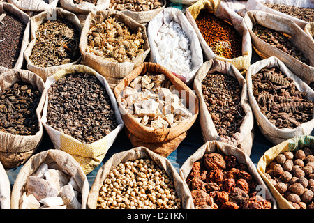 Vielzahl von Gewürzen im lokalen Markt in Pushkar. Rajasthan, Indien, Asien Stockfoto