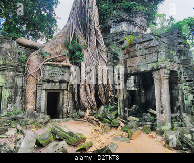 Kambodscha, Angkor, Ta Prohm, tropischer Vegetation überwächst antiken Architektur in Ta Prohm Tempel aus dem 12. Jahrhundert Stockfoto