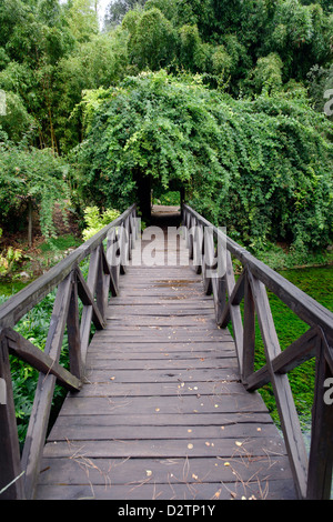 Die hölzerne Brücke Ponte Di Legno Überquerung des Flusses genannt. Garten von Ninfa. Lazio Rom. Italien Stockfoto