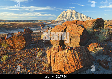 Versteinertes Holz und Badlands, Long Logs Trail, Petrified Forest National Park, Arizona USA Stockfoto
