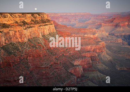 Mond und Grand Canyon, Grand Canyon National Park, Arizona USA Stockfoto