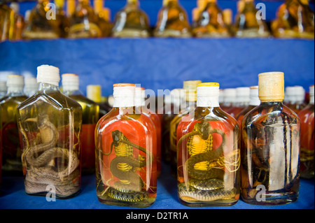 Donsao, Laos, Flaschen mit Kobras auf einem Markt Stockfoto