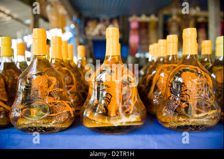 Donsao, Laos, Flaschen mit Kobras und Skorpione auf einem Markt Stockfoto