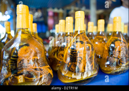 Donsao, Laos, Flaschen mit Kobras und Skorpione auf einem Markt Stockfoto