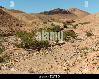 Trocknen Sie Wadi Bett im Bereich Vallee Du Dades von Marokko, Nordafrika Stockfoto