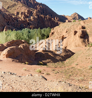 Ein Wasserlauf durch eine Schlucht im Tal Du Dades lokal bekannt als Affe Füße oder Affe Finger, Marokko, Nordafrika Stockfoto