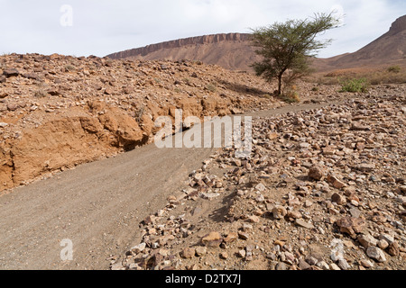 Fahrt entlang der felsigen Wadi Bett mit Anzeichen von starken Regenfällen in Zagora Provinz, Anti Atas Berge Marokko, Nordafrika Stockfoto